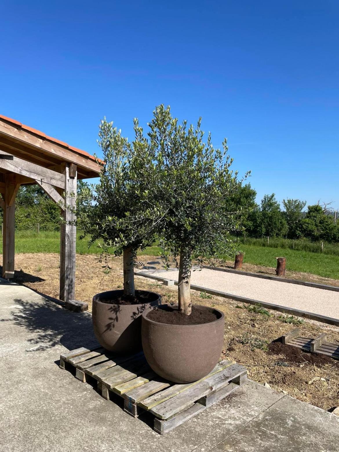 Maison Cabet Castelnavet Esterno foto